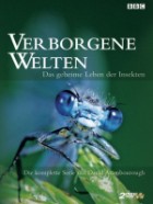 Verborgene Welten - Das geheime Leben der Insekten 