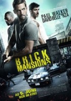 Brick Mansions