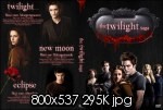 Die Twilight Saga