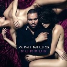 Animus - Purpur