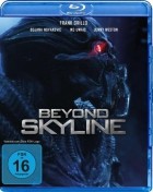 Beyond Skyline