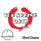 Dance Top Spring 2017