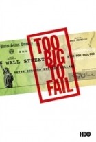 Too Big to Fail Die grosse Krise