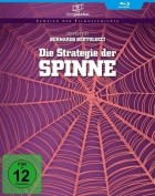 Die Strategie der Spinne