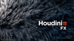 SideFX Houdini FX v17.0.459