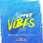 Summer Vibes 2020 Best Of Deep Tropical House